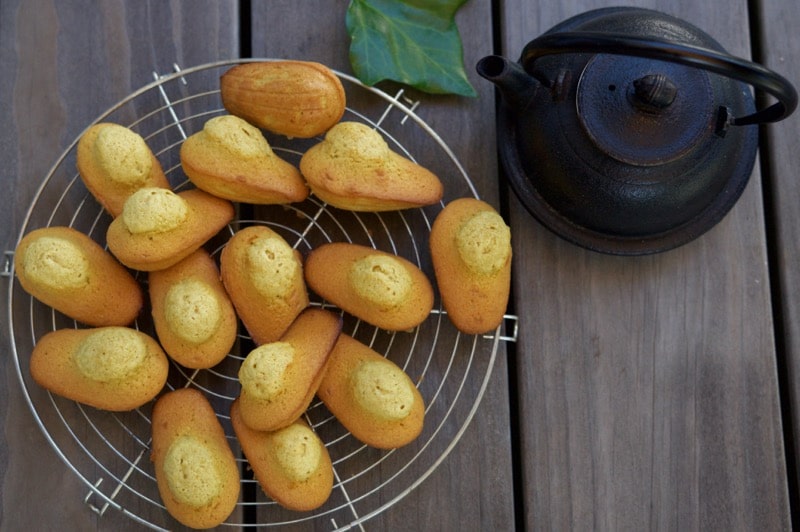 Madeleines au Thermomix {Rapides & fondantes} • Yummix !