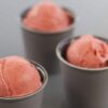 Sorbet au Thermomix